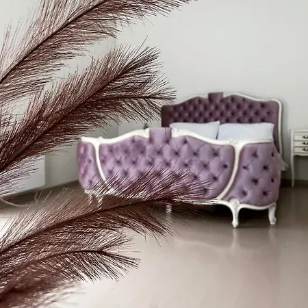 Krioklio Namelis Verkiuose Chalet Vilnius